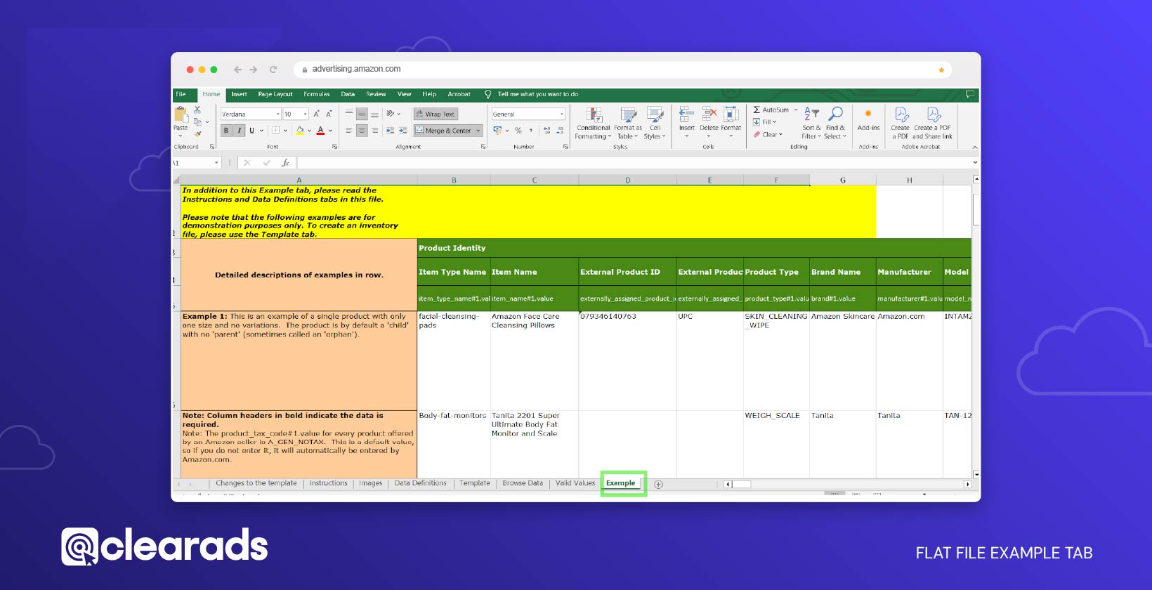 Screenshot showing the flat file example tab