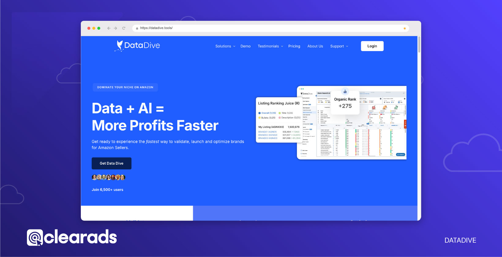 Screenshot of the homepage of DataDrive