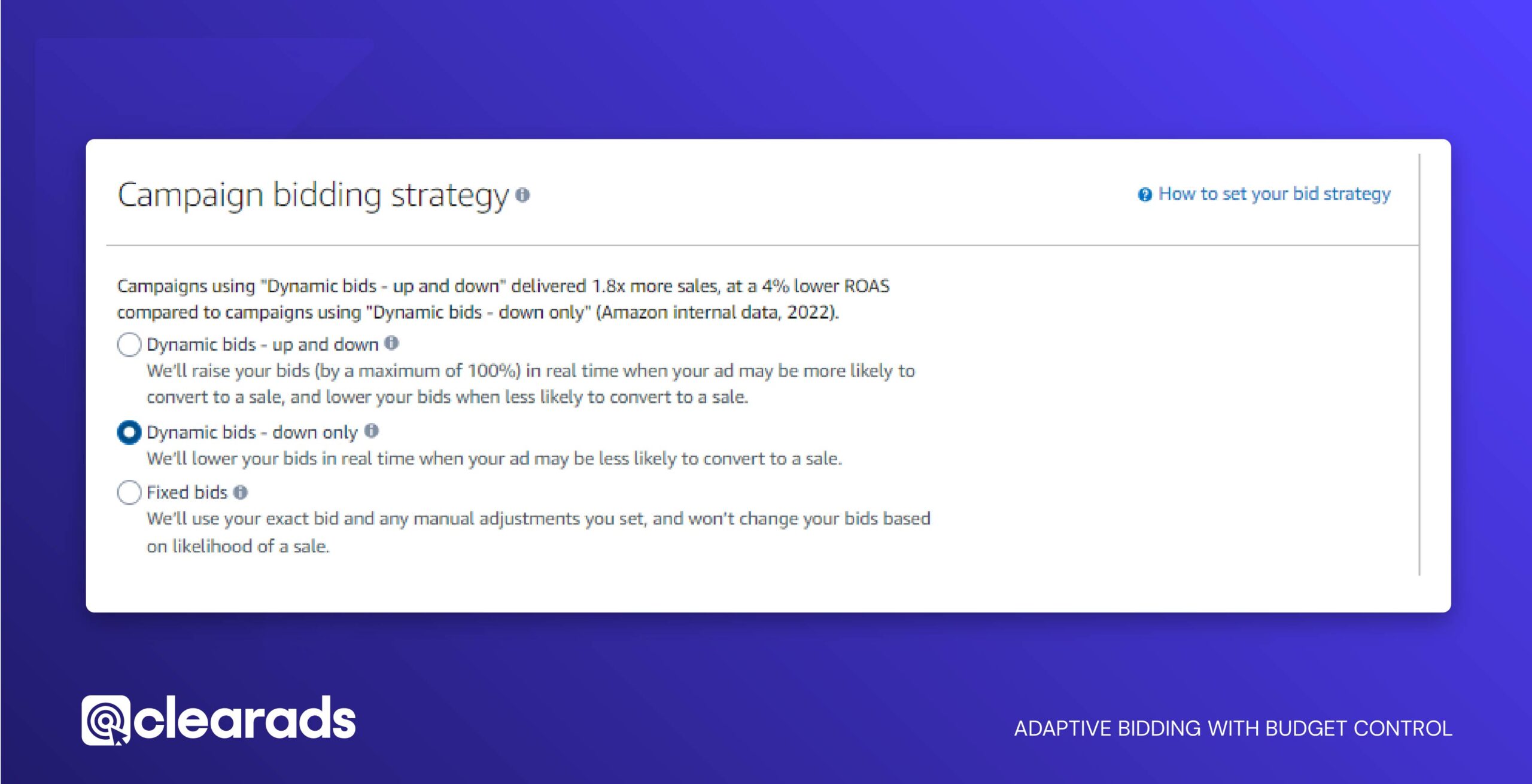 Screenshot of the campaign bidding startegy